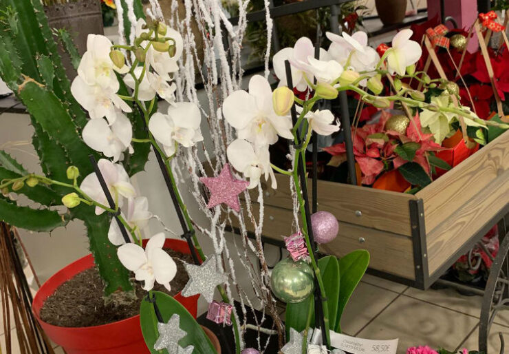 Formation Fleuriste - 10