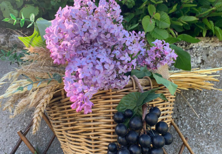 Une parenthèse au jardin - 2