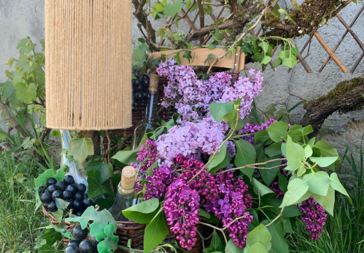 Une parenthèse au jardin - 5